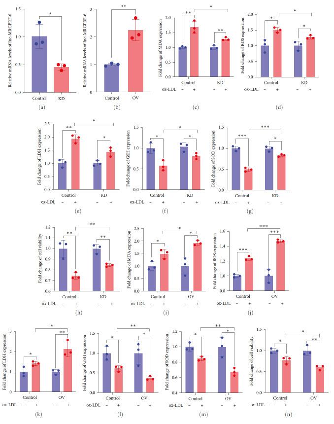 https://cdn.ncbi.nlm.nih.gov/pmc/blobs/300e/10447047/50a592f7f0c7/MI2023-5513245.002.jpg