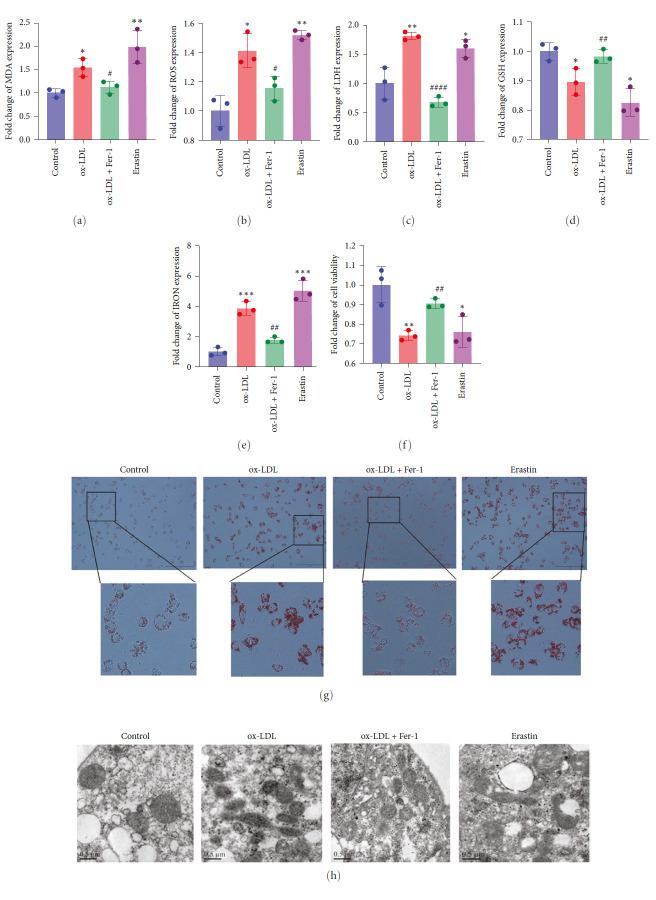 https://cdn.ncbi.nlm.nih.gov/pmc/blobs/300e/10447047/5a6bf9ea7a86/MI2023-5513245.001.jpg