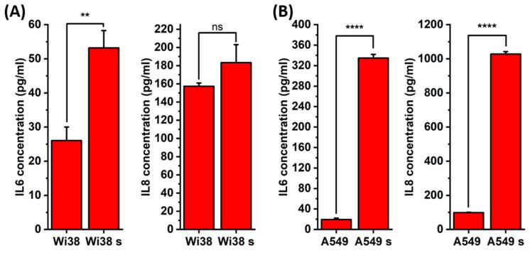 https://cdn.ncbi.nlm.nih.gov/pmc/blobs/300f/12347707/7c2158ee41ef/ijms-26-07489-g007.jpg