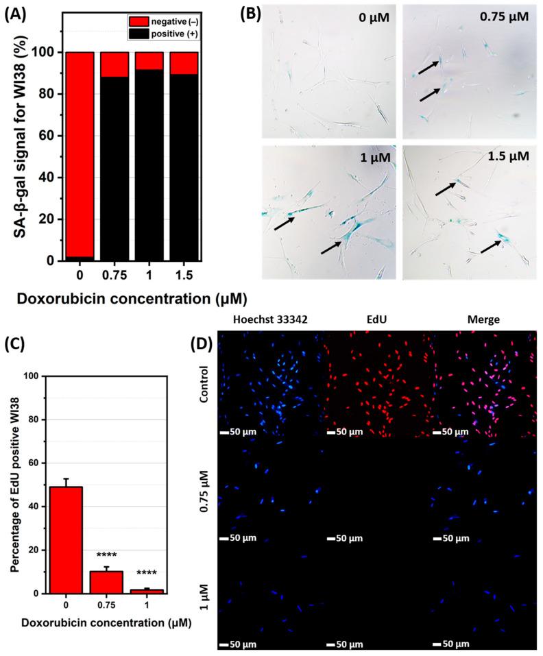 https://cdn.ncbi.nlm.nih.gov/pmc/blobs/300f/12347707/a36361faf315/ijms-26-07489-g002.jpg
