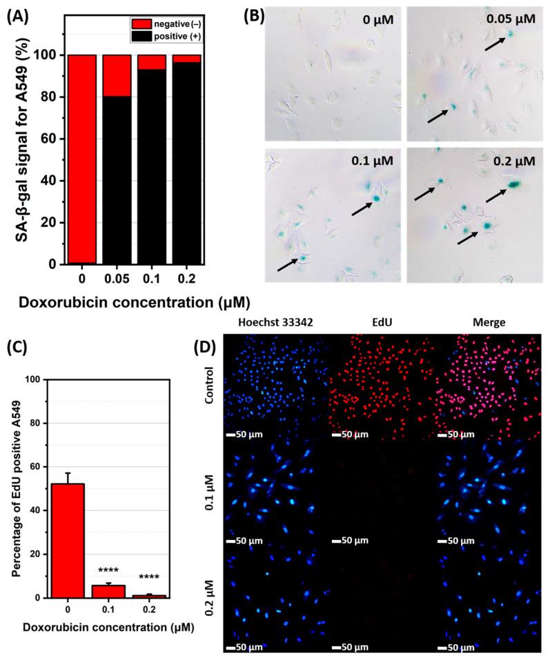 https://cdn.ncbi.nlm.nih.gov/pmc/blobs/300f/12347707/a7a5032ae806/ijms-26-07489-g003.jpg