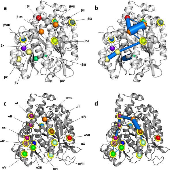 https://cdn.ncbi.nlm.nih.gov/pmc/blobs/3011/8251789/1454ac0dd447/ANIE-60-13331-g001.jpg