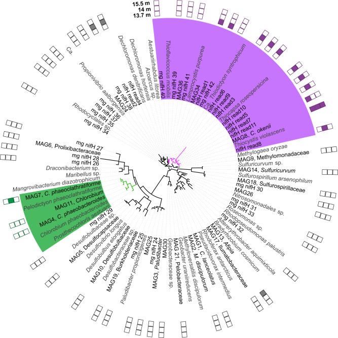 https://cdn.ncbi.nlm.nih.gov/pmc/blobs/3011/8346585/8ed0d870707c/41467_2021_25000_Fig2_HTML.jpg