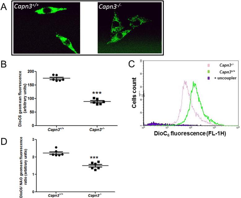 https://cdn.ncbi.nlm.nih.gov/pmc/blobs/3013/7730798/a46220ae1532/13395_2020_254_Fig4_HTML.jpg