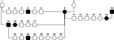 https://cdn.ncbi.nlm.nih.gov/pmc/blobs/3014/3275728/1896620f546f/335_2011_9364_Fig3_HTML.jpg