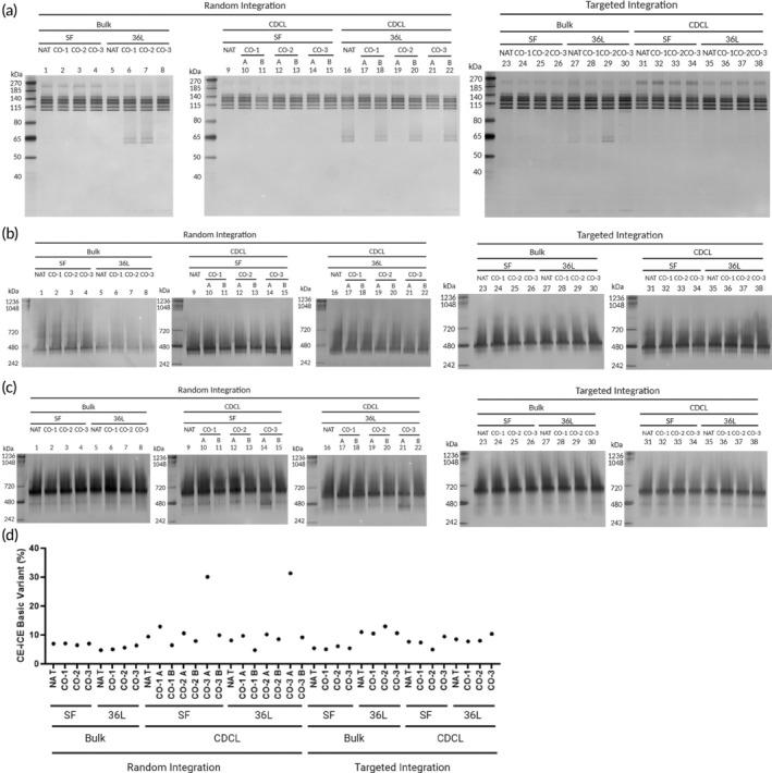 https://cdn.ncbi.nlm.nih.gov/pmc/blobs/3015/12079346/a70e22cbf9ad/BTM2-10-e10750-g003.jpg