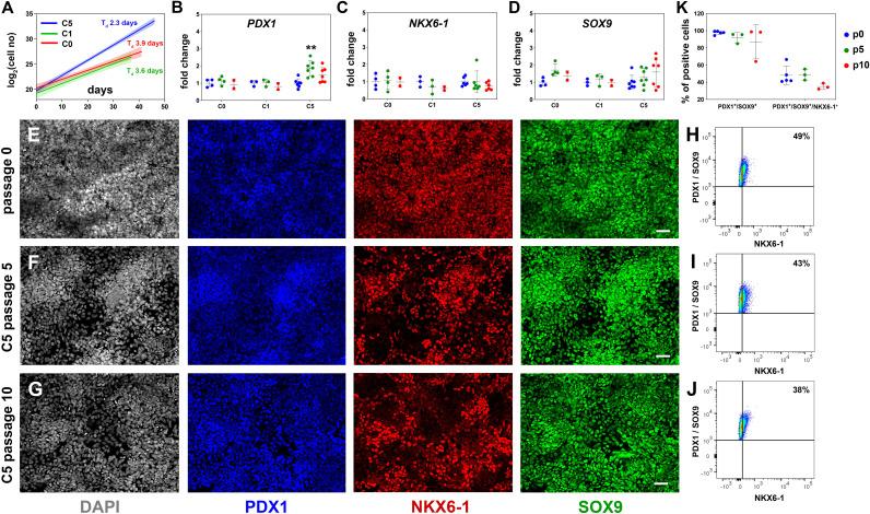 https://cdn.ncbi.nlm.nih.gov/pmc/blobs/3016/10945307/68ffc9492482/elife-89962-fig2.jpg