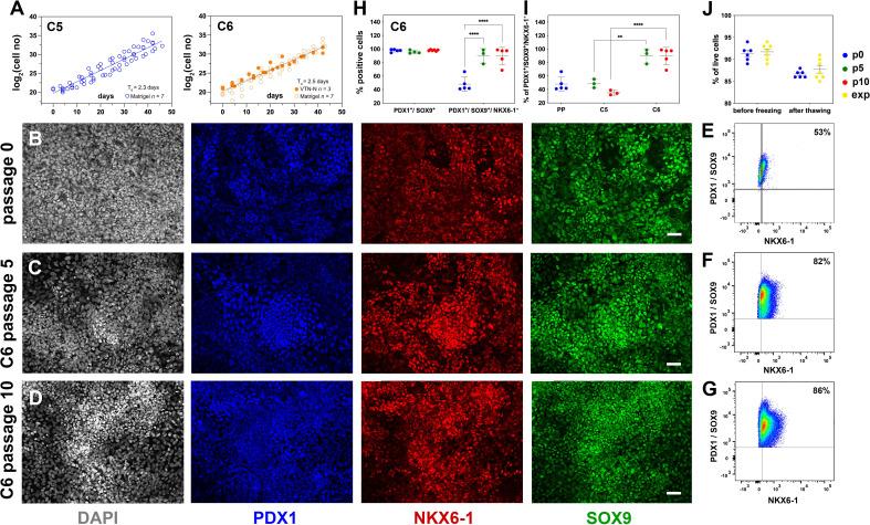 https://cdn.ncbi.nlm.nih.gov/pmc/blobs/3016/10945307/8584e82f6738/elife-89962-fig4.jpg