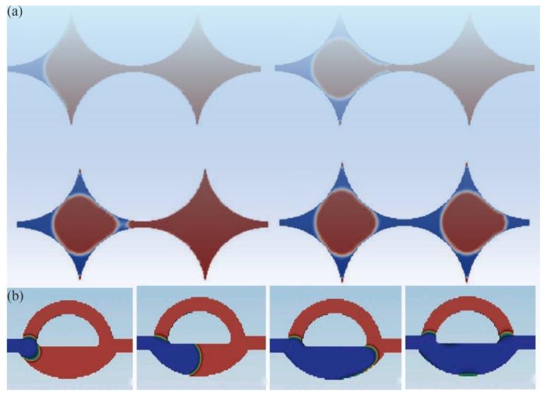 https://cdn.ncbi.nlm.nih.gov/pmc/blobs/3016/11356827/9d776ab8af32/molecules-29-03978-g003.jpg