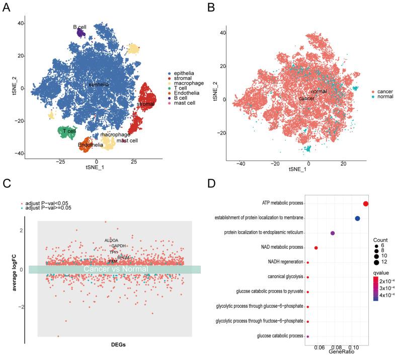 https://cdn.ncbi.nlm.nih.gov/pmc/blobs/3018/11205578/4104c581658f/metabolites-14-00345-g002.jpg