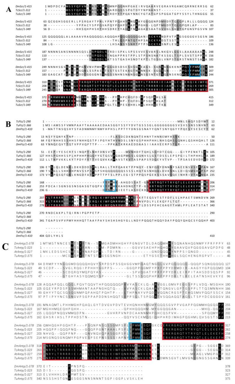 https://cdn.ncbi.nlm.nih.gov/pmc/blobs/301b/10299150/06db957f47fd/ijms-24-10391-g001.jpg