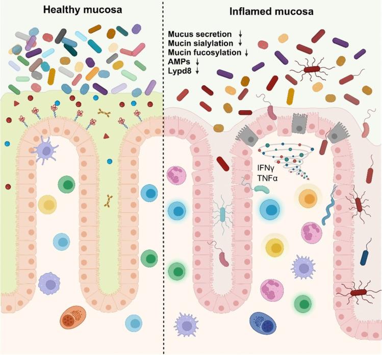 https://cdn.ncbi.nlm.nih.gov/pmc/blobs/301b/11599372/353f8a6f5db0/281_2024_1026_Fig3_HTML.jpg