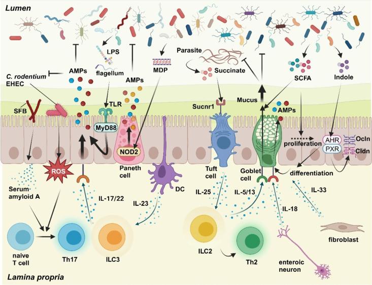 https://cdn.ncbi.nlm.nih.gov/pmc/blobs/301b/11599372/4d19dcbe45d3/281_2024_1026_Fig2_HTML.jpg