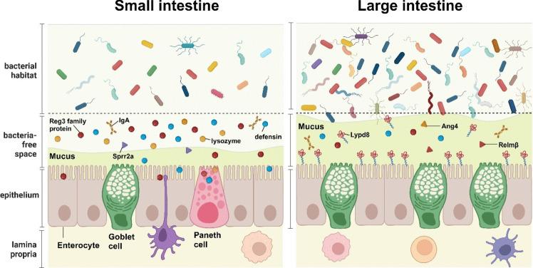https://cdn.ncbi.nlm.nih.gov/pmc/blobs/301b/11599372/d364e68c51ab/281_2024_1026_Fig1_HTML.jpg