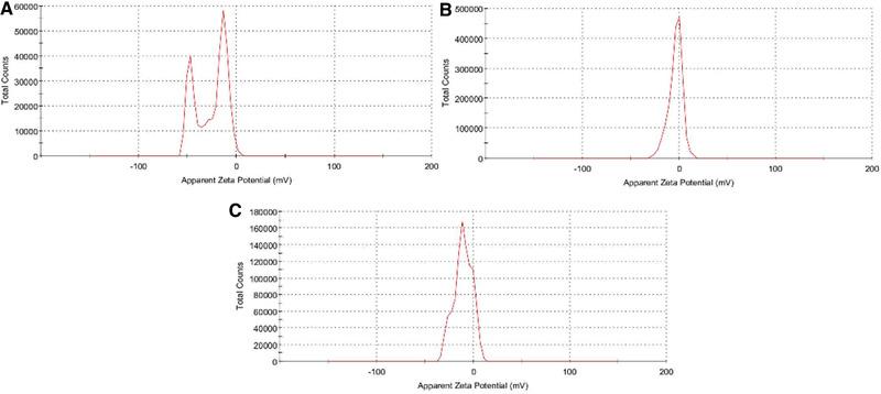 https://cdn.ncbi.nlm.nih.gov/pmc/blobs/301b/8811727/906a11fcffa1/ELSC-22-58-g004.jpg