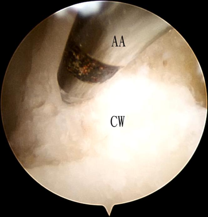 https://cdn.ncbi.nlm.nih.gov/pmc/blobs/301b/9827032/2cf9d0f24b1b/gr8.jpg