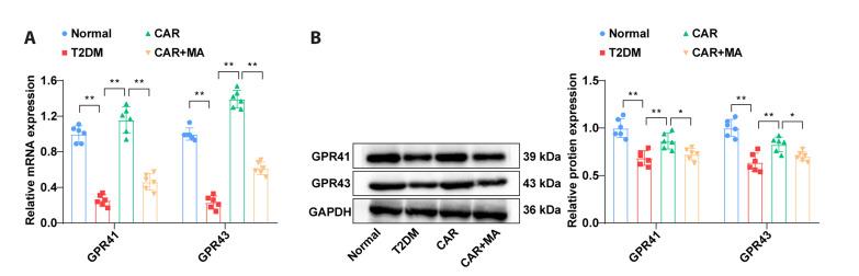 https://cdn.ncbi.nlm.nih.gov/pmc/blobs/301e/10762484/7c94be2653a7/kjpp-28-1-1-f4.jpg