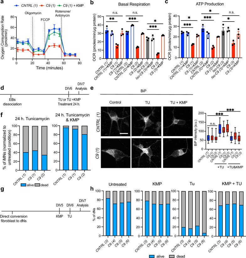 https://cdn.ncbi.nlm.nih.gov/pmc/blobs/301e/11787762/12af0e5c7eee/40478_2025_1927_Fig1_HTML.jpg