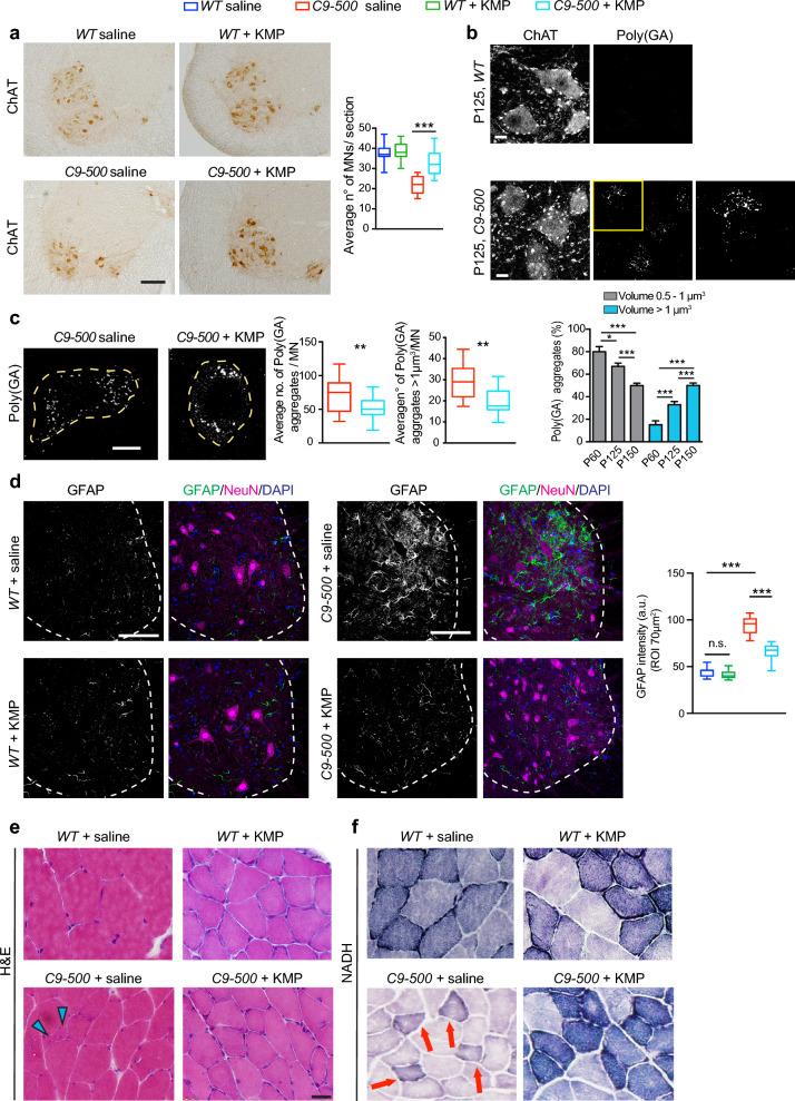 https://cdn.ncbi.nlm.nih.gov/pmc/blobs/301e/11787762/46cc0aacccee/40478_2025_1927_Fig2_HTML.jpg