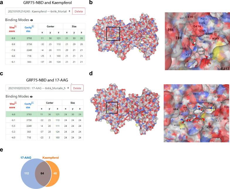 https://cdn.ncbi.nlm.nih.gov/pmc/blobs/301e/11787762/a1fa13dd4a5b/40478_2025_1927_Fig6_HTML.jpg