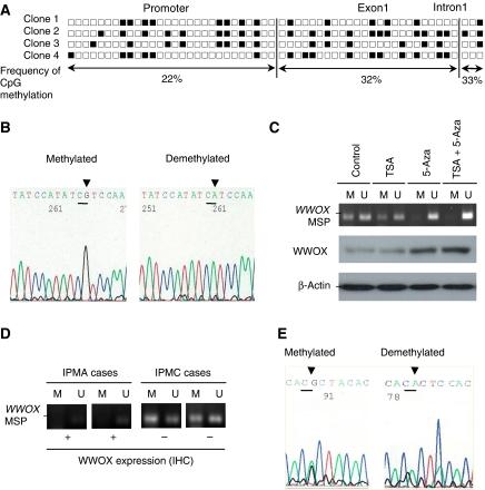 https://cdn.ncbi.nlm.nih.gov/pmc/blobs/301e/2694421/596029570dd6/6604986f2.jpg