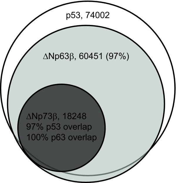 https://cdn.ncbi.nlm.nih.gov/pmc/blobs/301e/2807882/78f43de8fc30/1471-2164-10-628-6.jpg