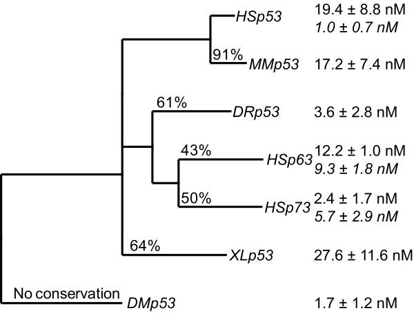 https://cdn.ncbi.nlm.nih.gov/pmc/blobs/301e/2807882/9937124d467e/1471-2164-10-628-2.jpg