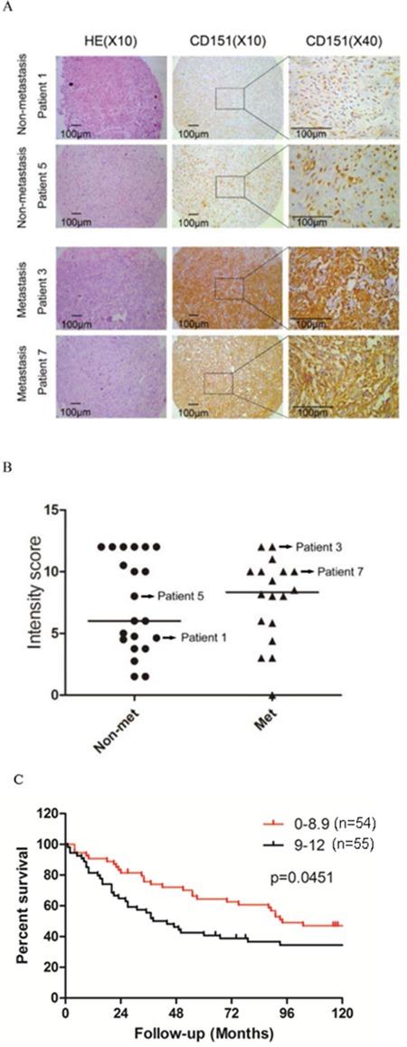 https://cdn.ncbi.nlm.nih.gov/pmc/blobs/301e/5312406/d32a2644bfa6/oncotarget-07-60623-g001.jpg