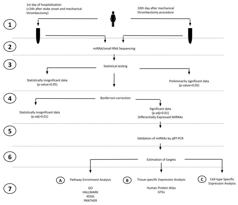 https://cdn.ncbi.nlm.nih.gov/pmc/blobs/301f/10931570/188db1a949d6/ijms-25-02766-g001.jpg