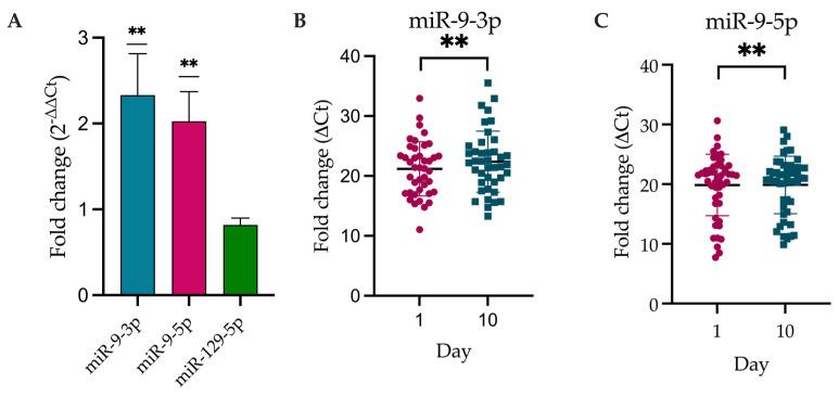 https://cdn.ncbi.nlm.nih.gov/pmc/blobs/301f/10931570/cc37ef819d17/ijms-25-02766-g004.jpg