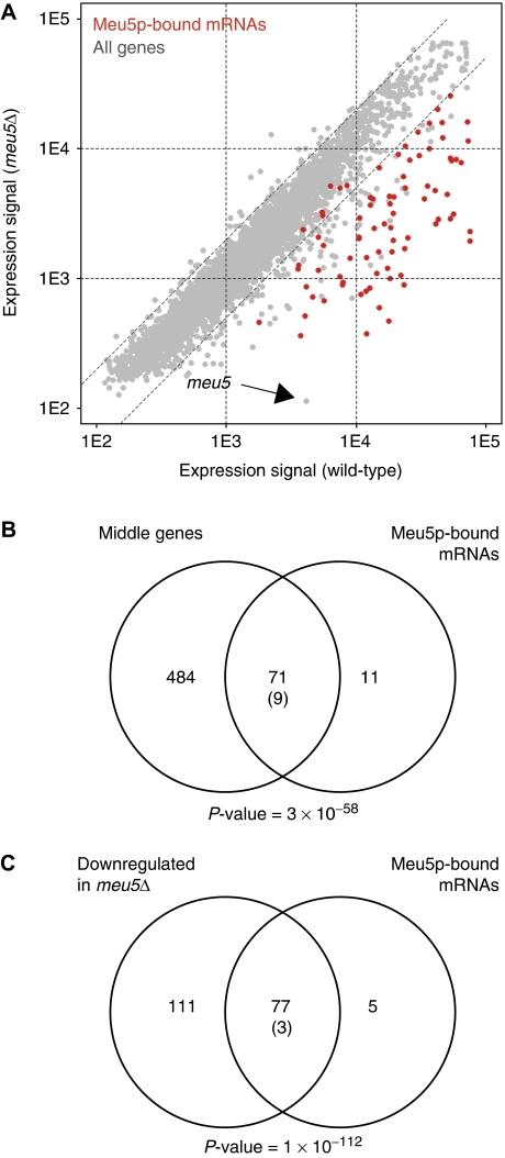 https://cdn.ncbi.nlm.nih.gov/pmc/blobs/3020/2913401/046407f49191/msb201038-f2.jpg