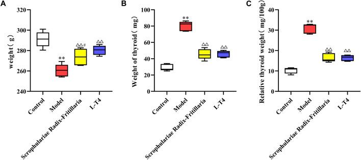 https://cdn.ncbi.nlm.nih.gov/pmc/blobs/3021/11140129/6605d43e7a24/fphar-15-1206718-g001.jpg