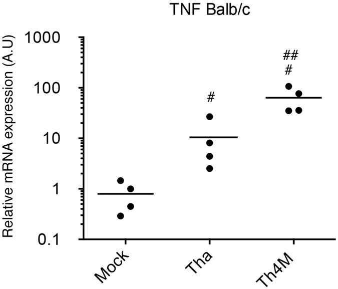https://cdn.ncbi.nlm.nih.gov/pmc/blobs/3022/5175135/1f8a90214929/srep39420-f7.jpg