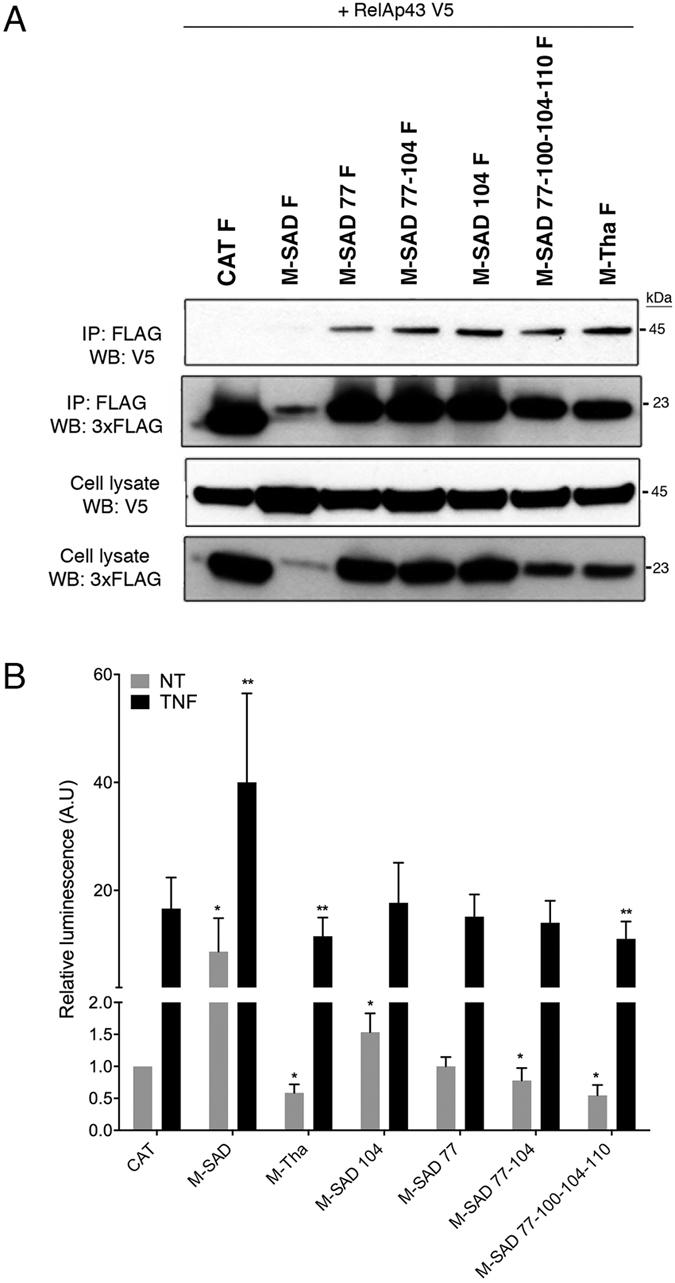 https://cdn.ncbi.nlm.nih.gov/pmc/blobs/3022/5175135/f4b4312fdac2/srep39420-f4.jpg