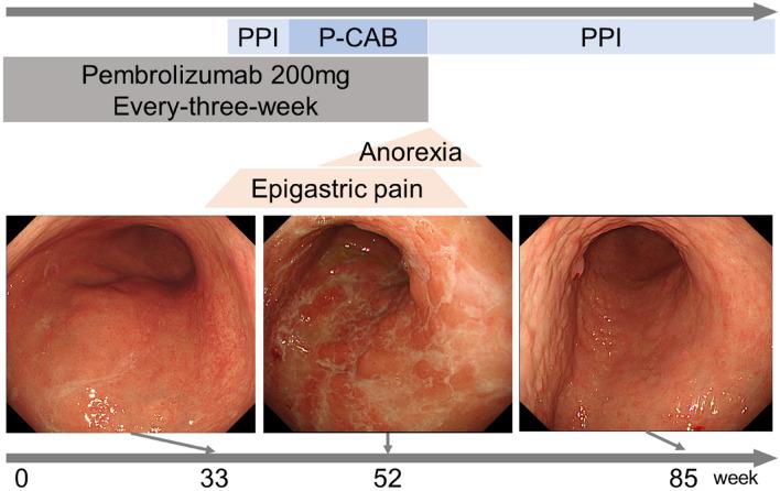 https://cdn.ncbi.nlm.nih.gov/pmc/blobs/3022/8956546/4abaf87bb327/12328_2021_1582_Fig4_HTML.jpg