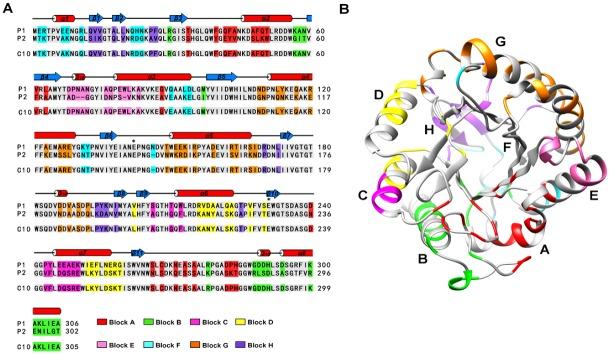 https://cdn.ncbi.nlm.nih.gov/pmc/blobs/3024/4795783/069a47d6971b/pone.0147485.g001.jpg