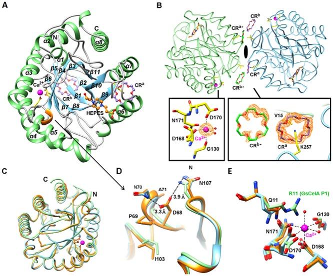 https://cdn.ncbi.nlm.nih.gov/pmc/blobs/3024/4795783/a00481adead2/pone.0147485.g005.jpg