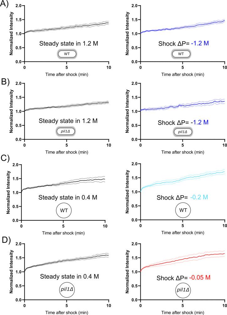 https://cdn.ncbi.nlm.nih.gov/pmc/blobs/3024/9045820/8173109e94e0/elife-62084-fig4-figsupp1.jpg