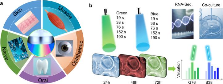 https://cdn.ncbi.nlm.nih.gov/pmc/blobs/3026/12037727/26e36d9ca865/41598_2025_99083_Fig1_HTML.jpg