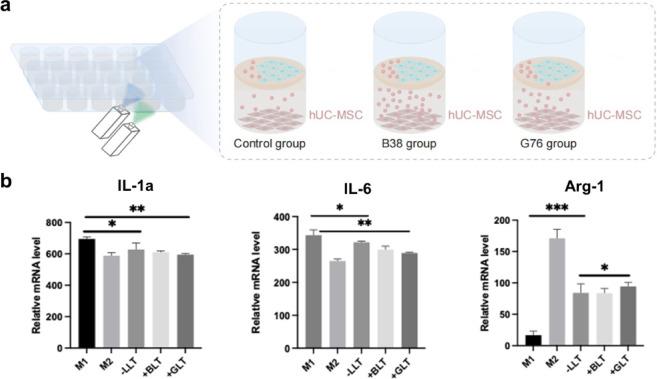 https://cdn.ncbi.nlm.nih.gov/pmc/blobs/3026/12037727/9880d4d0e722/41598_2025_99083_Fig6_HTML.jpg