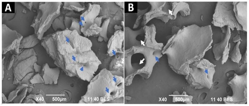 https://cdn.ncbi.nlm.nih.gov/pmc/blobs/3026/9506155/0b1134809146/molecules-27-05745-g006.jpg