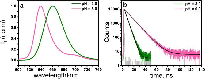 https://cdn.ncbi.nlm.nih.gov/pmc/blobs/302c/11442955/2c32bbaace3d/41598_2024_73586_Fig5_HTML.jpg
