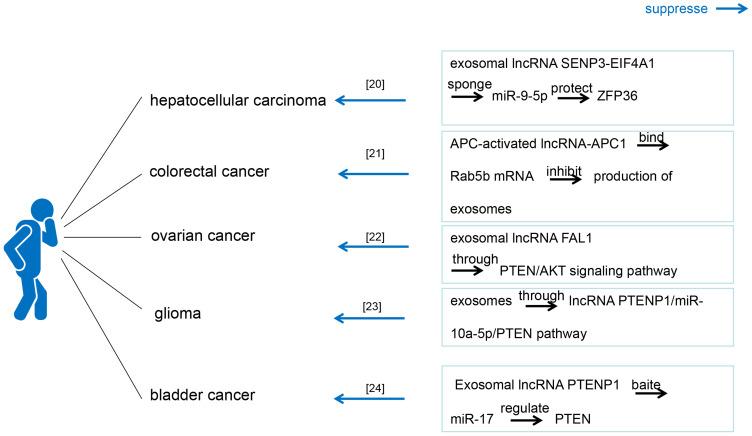 https://cdn.ncbi.nlm.nih.gov/pmc/blobs/302f/7814250/85e76023931a/OTT-14-271-g0002.jpg