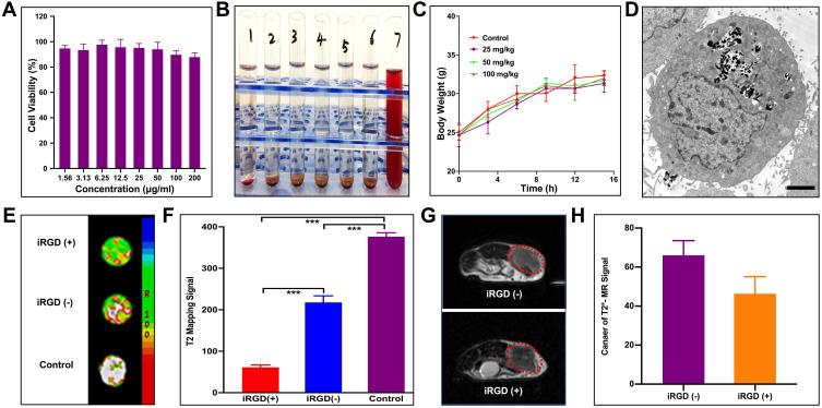https://cdn.ncbi.nlm.nih.gov/pmc/blobs/3031/7884959/29c971e27ec8/IJN-16-1037-g0003.jpg