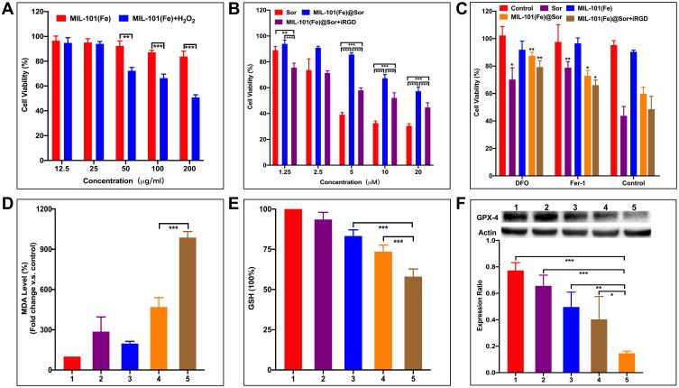 https://cdn.ncbi.nlm.nih.gov/pmc/blobs/3031/7884959/8e5d02ab72b8/IJN-16-1037-g0004.jpg