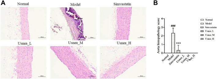 https://cdn.ncbi.nlm.nih.gov/pmc/blobs/3031/9732435/2abb9494bf31/fphar-13-1064872-g002.jpg