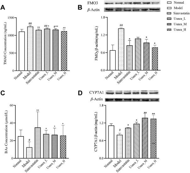 https://cdn.ncbi.nlm.nih.gov/pmc/blobs/3031/9732435/322f463f8afe/fphar-13-1064872-g010.jpg