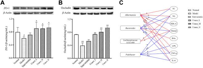 https://cdn.ncbi.nlm.nih.gov/pmc/blobs/3031/9732435/7e587a6c7260/fphar-13-1064872-g011.jpg