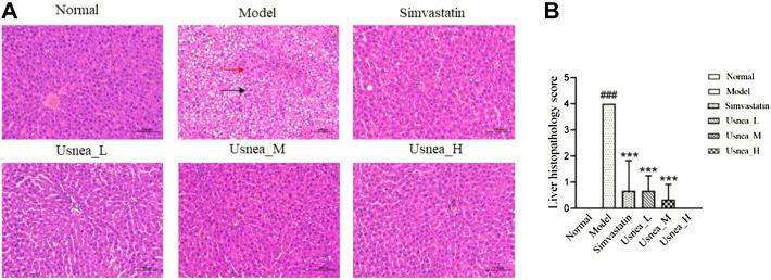 https://cdn.ncbi.nlm.nih.gov/pmc/blobs/3031/9732435/d0daba6165b9/fphar-13-1064872-g003.jpg