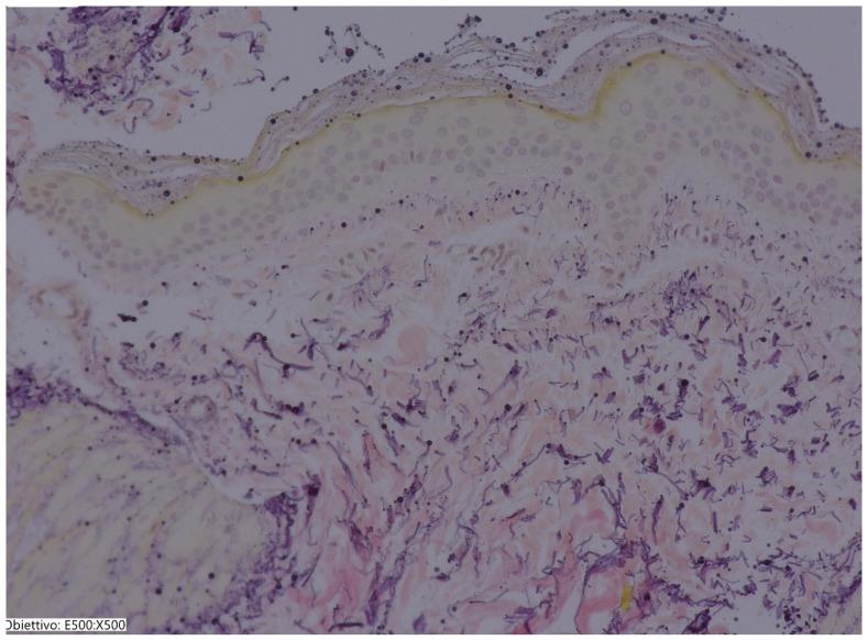 https://cdn.ncbi.nlm.nih.gov/pmc/blobs/3034/11989562/946f2b11c7ca/jcm-14-02303-g004.jpg